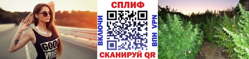 Канабис планчик  блэк спрут ссылка  Кувшиново 